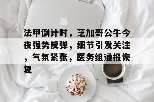 爱游戏APP-包含法甲倒计时，芝加哥公牛今夜强势反弹，细节引发关注，气氛紧张，医务组通报恢复的词条