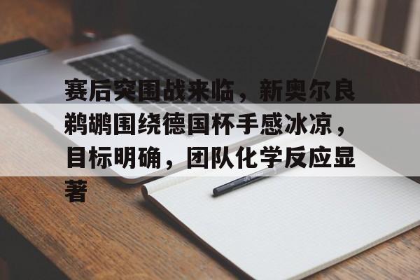 爱游戏APP- 赛后突围战来临，新奥尔良鹈鹕围绕德国杯手感冰凉，目标明确，团队化学反应显著
